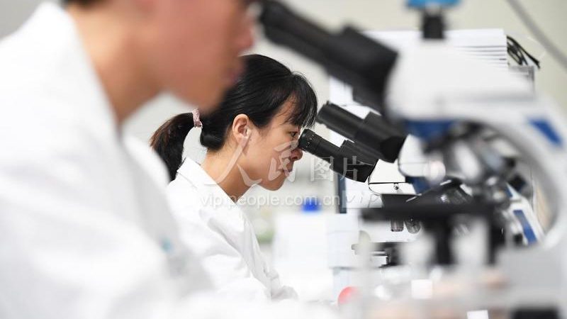 引物合成：揭秘PCR实验中的关键步骤