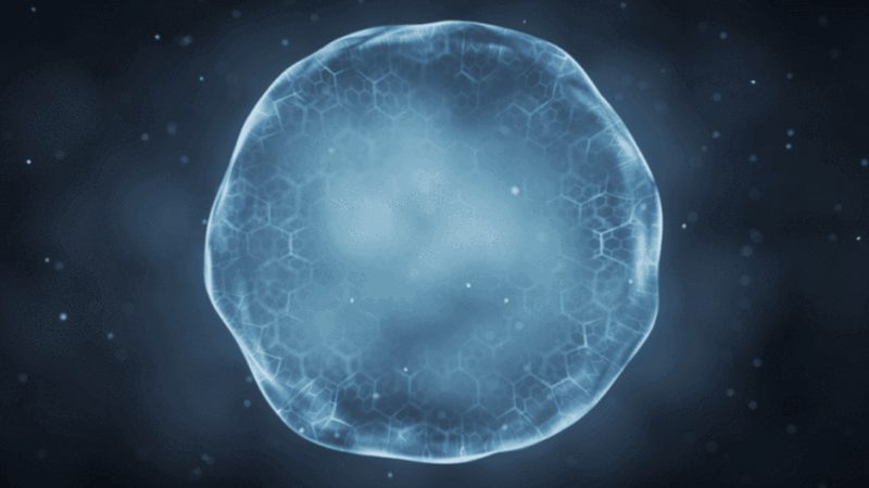 单抗生物制品规格：选型不是选尺码