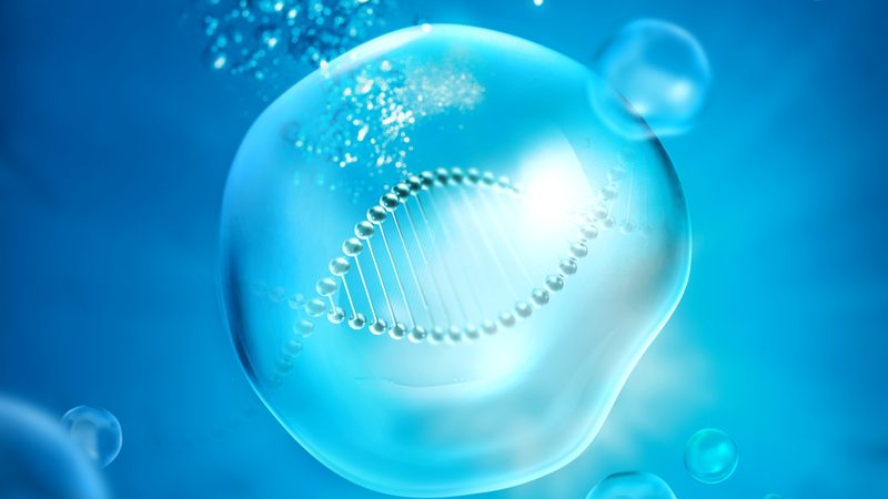 进口实验室耗材报关，这5步不可或缺
