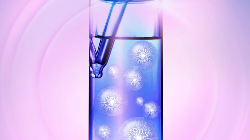 磷酸化抗体Western blot检测：揭秘蛋白质磷酸化研究的关键技术**