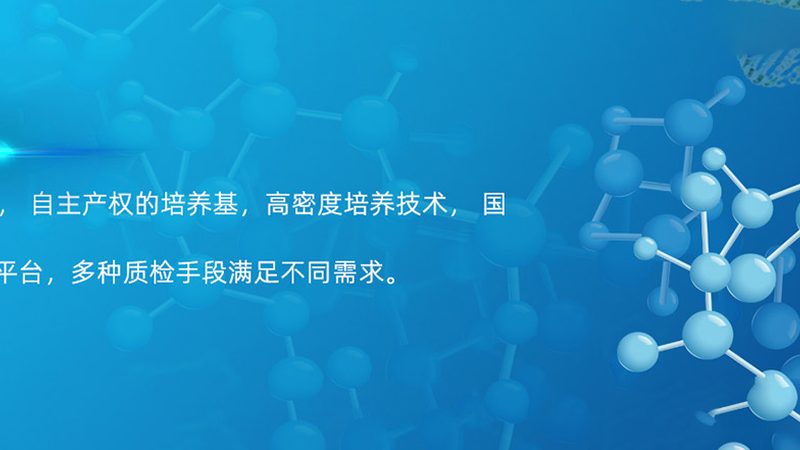 引物合成周期，如何高效抉择？**