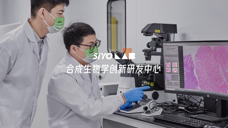 数字PCR与荧光定量PCR：技术差异与应用场景解析