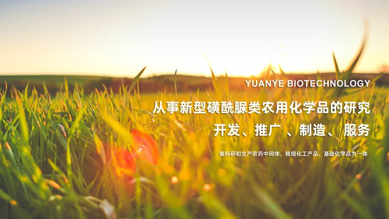 广州生物科技有限公司