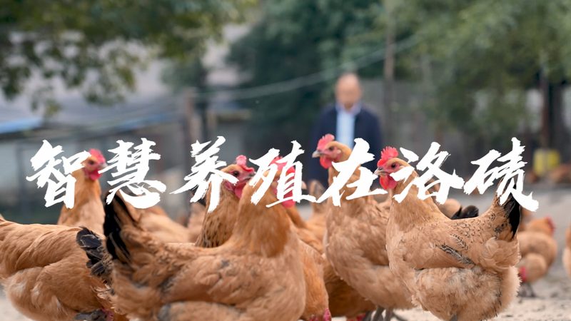 科研引物合成，如何选择靠谱的供应商？**