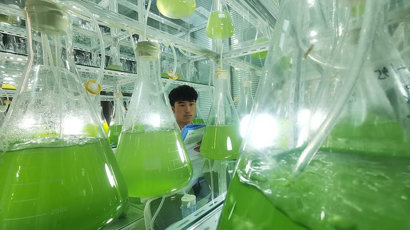 抗体药物研发外包：合作模式解析与选择要点**